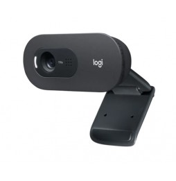 Webcam Logitech C505, USB, Micrófono Integrado, HD 720p
