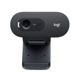 Webcam Logitech C505, USB, Micrófono Integrado, HD 720p