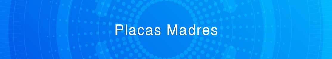 Placas Madres