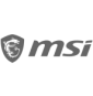 MSI