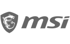 MSI